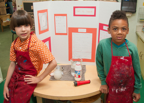 Science Fair 2013 - LE1 and UPE