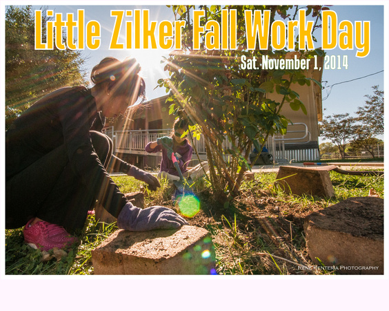 Little Zilker Fall Work Day Collages01